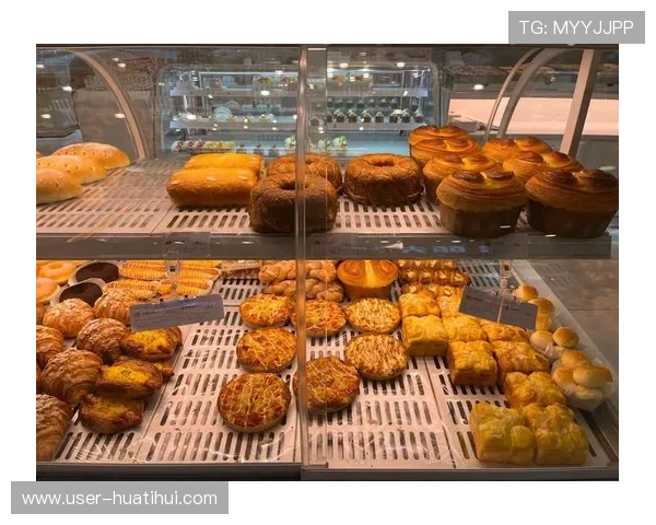 hth华体育官方入口：手机端与PC端登录流程详细介绍